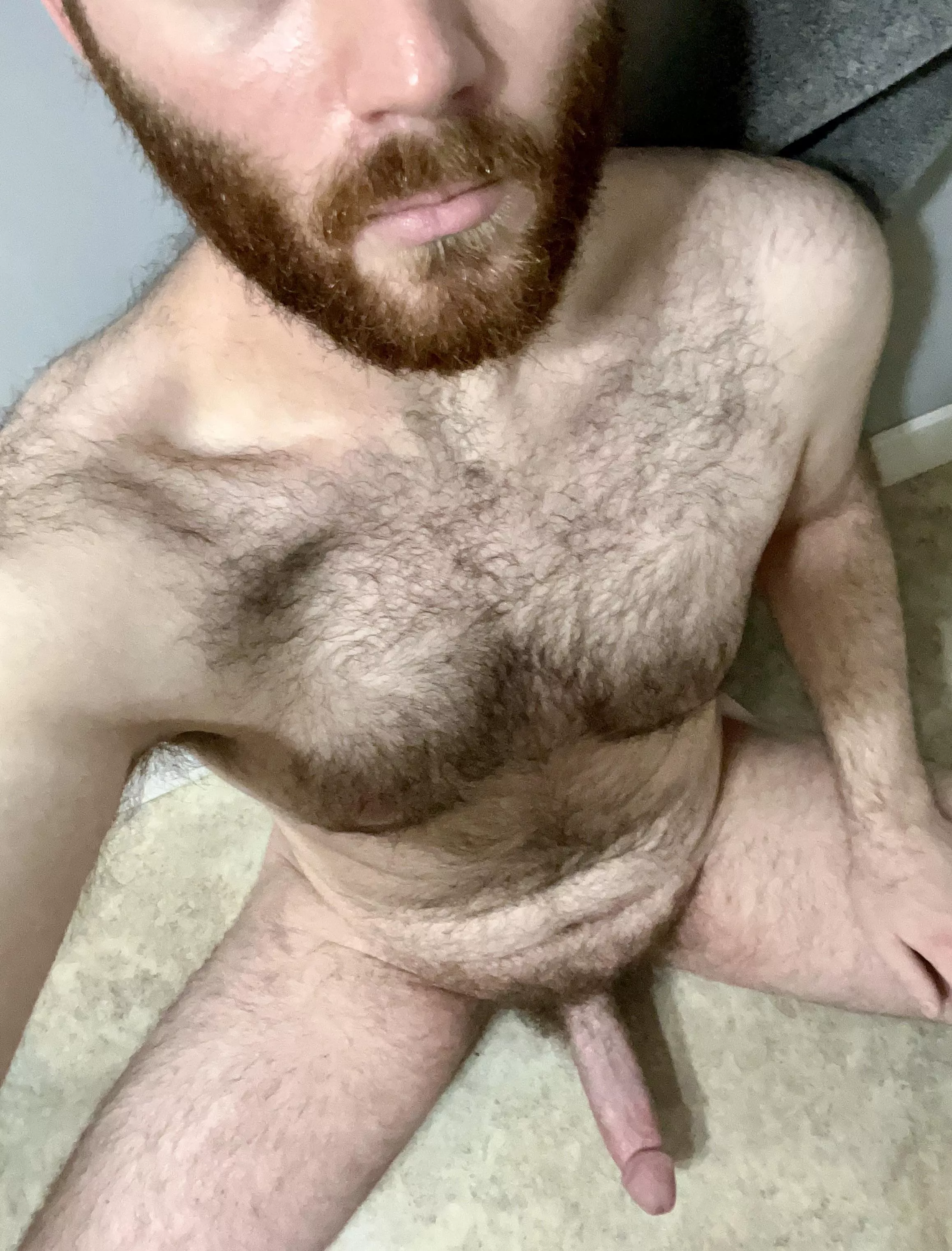 Love being a furry bro posted by EspressoBrownies