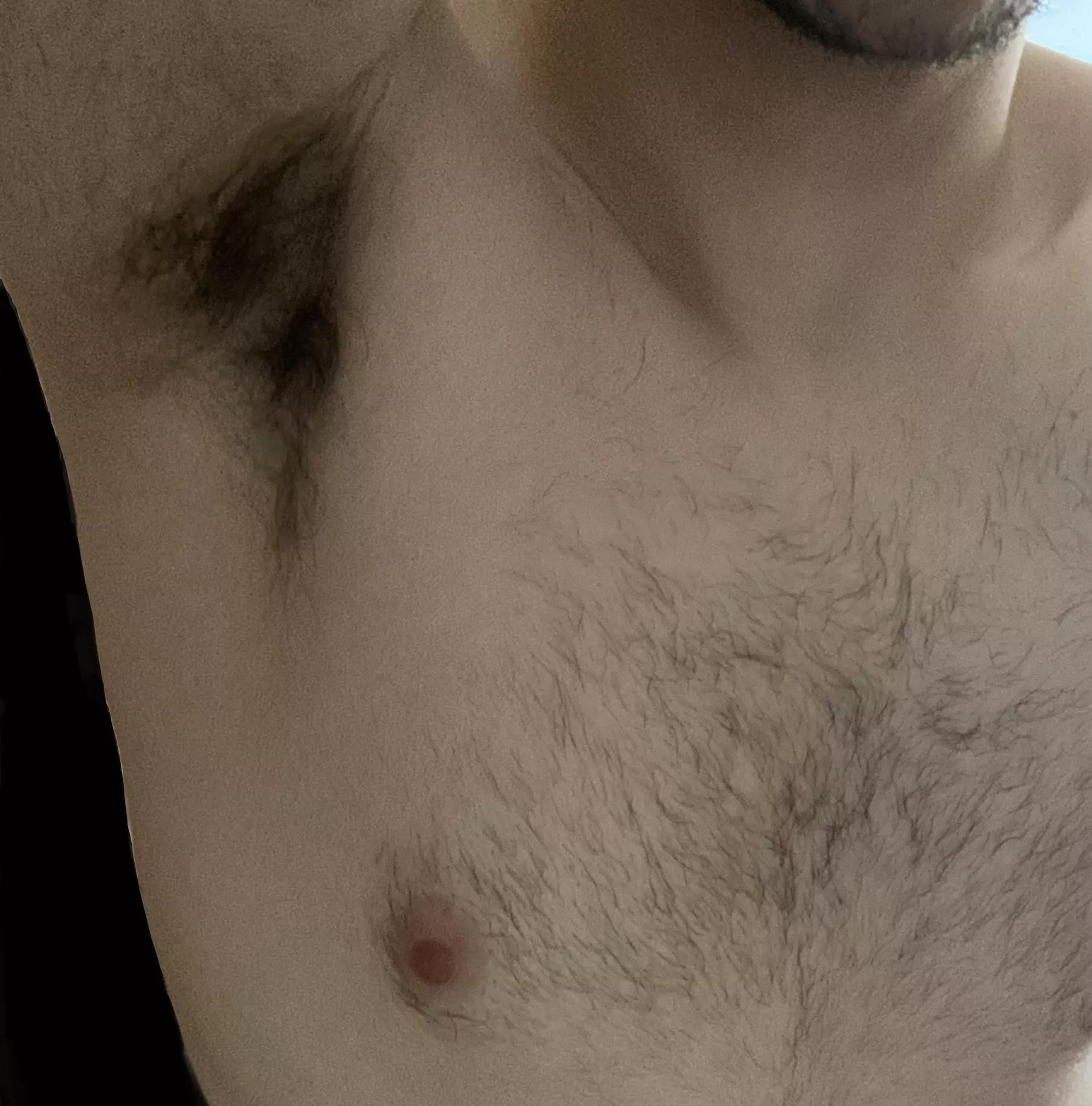 Love being an otter posted by Royal_Statement_