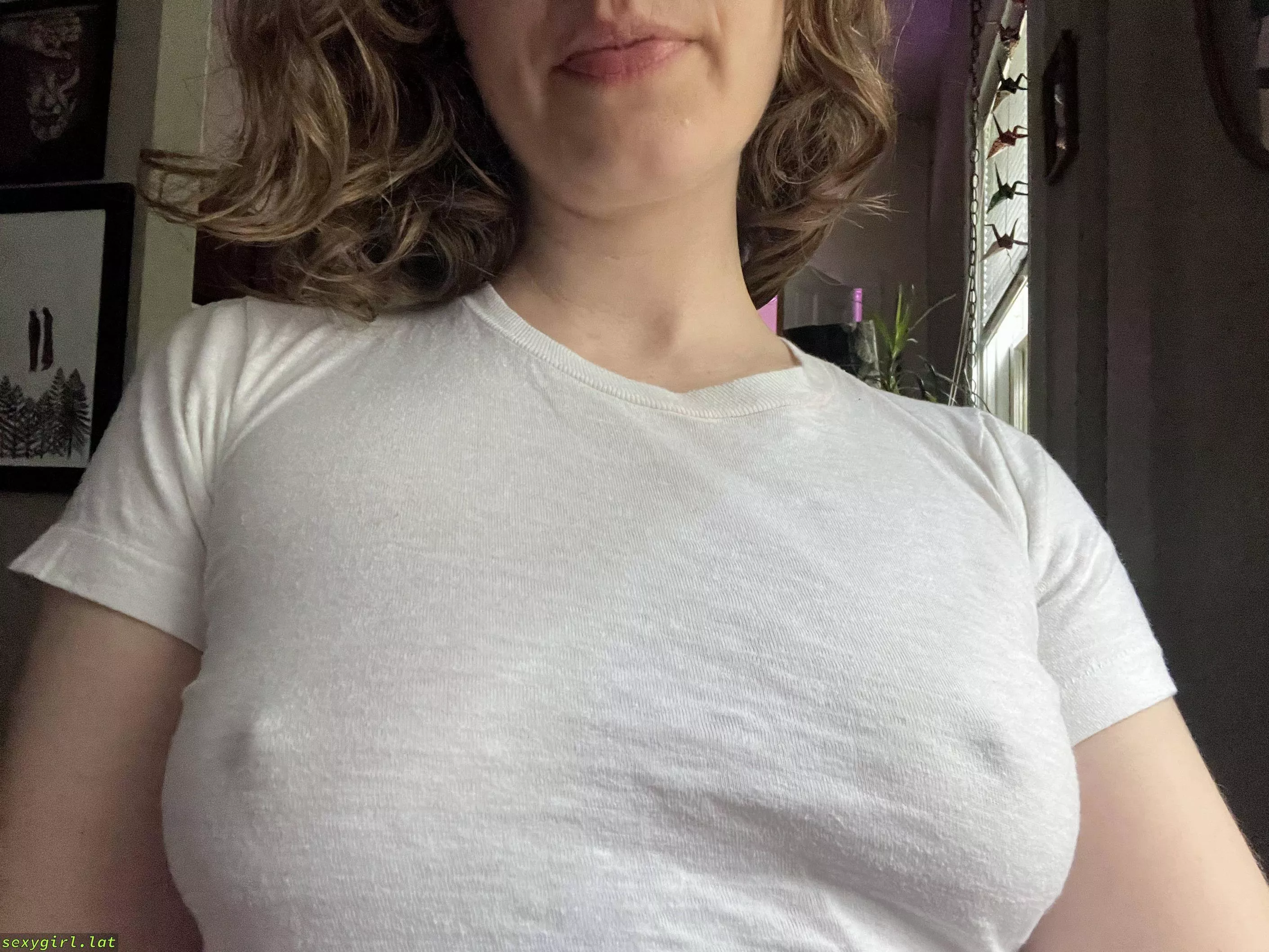 Not sure I have the confidence to go outside braless in this shirt… posted by w271rgfFbT