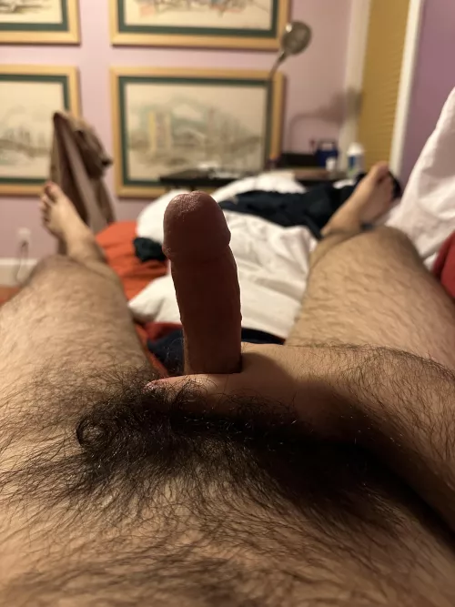 Not trimming my bush has definitely been the best idea. Do you agree? 😏 by LibrarianCrazy1503