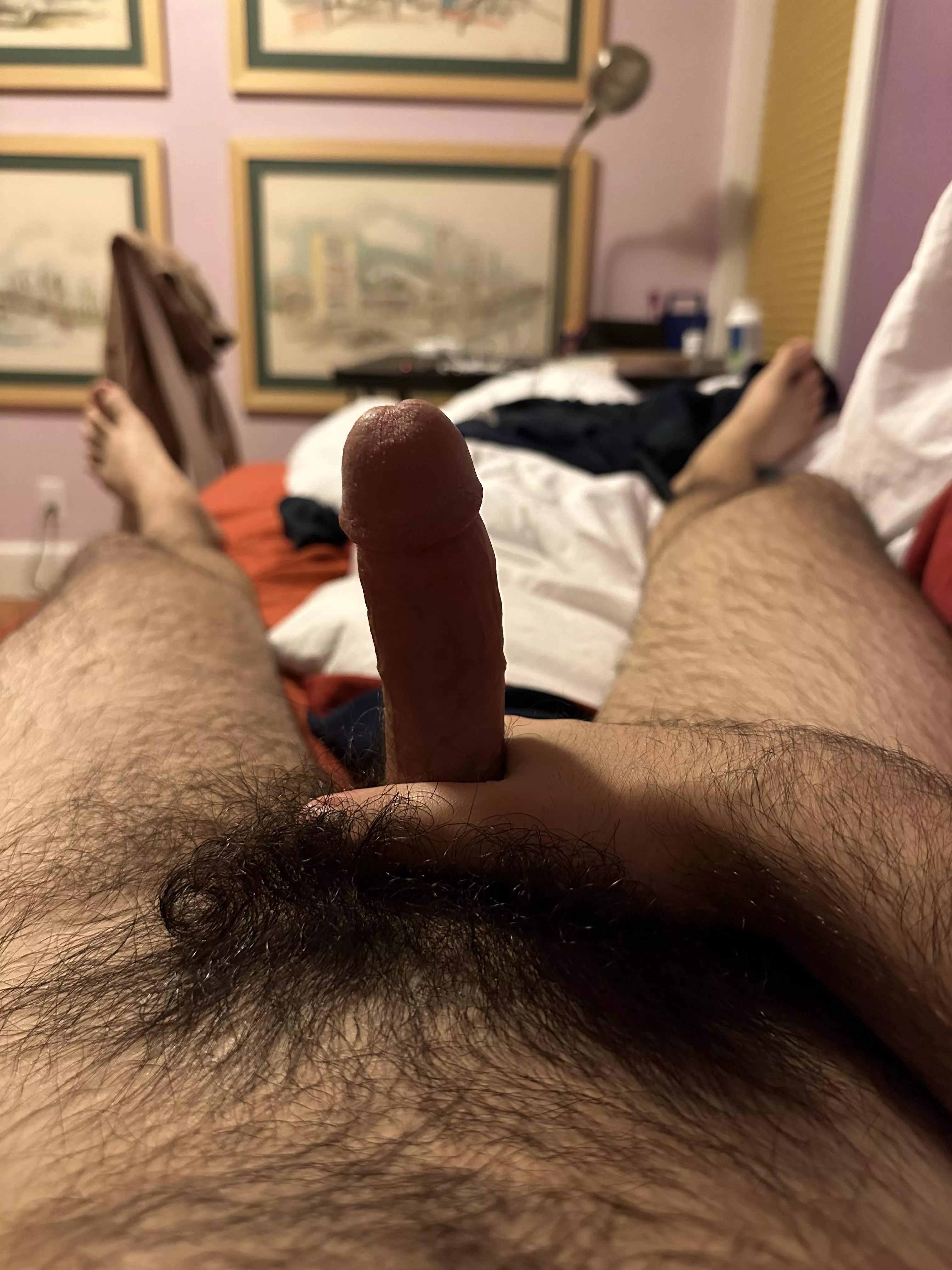 Not trimming my bush has definitely been the best idea. Do you agree? 😏 posted by LibrarianCrazy1503