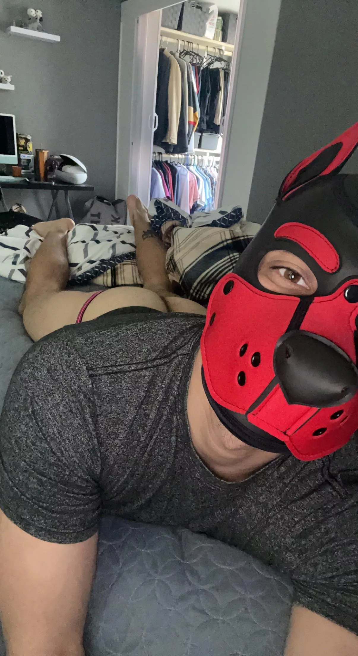 Puppy wants butt rubs and cuddles posted by TheNightWalker92