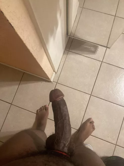 Rate?? by WholeVanilla2462