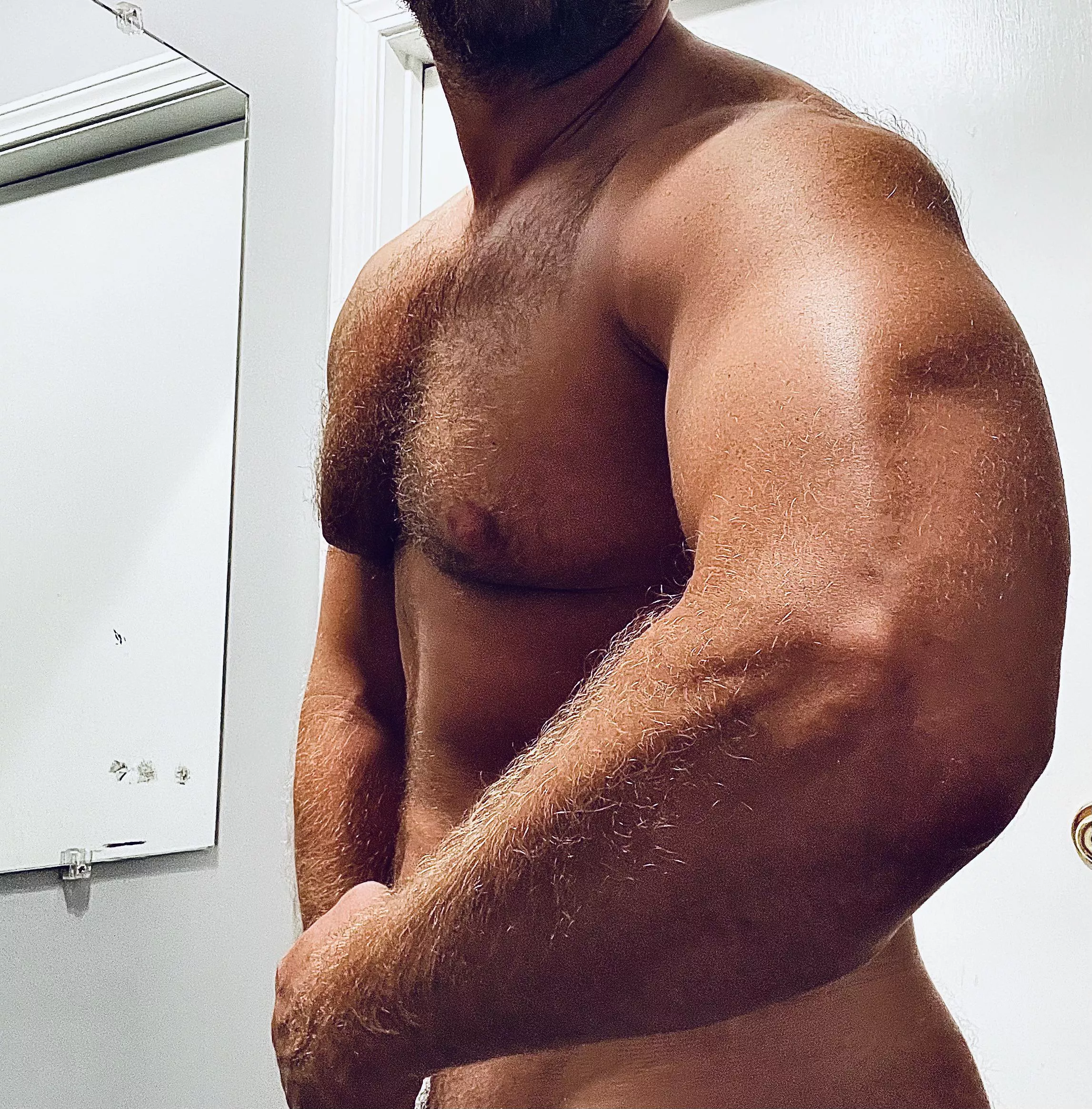 right to bear arms 🐻 posted by chepuey