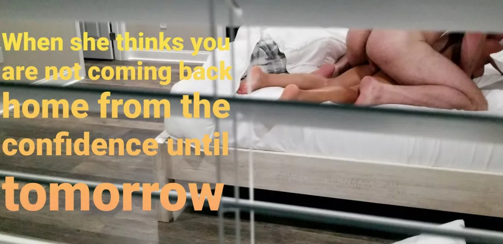 Should have stayed at the conference by Geniusinterest