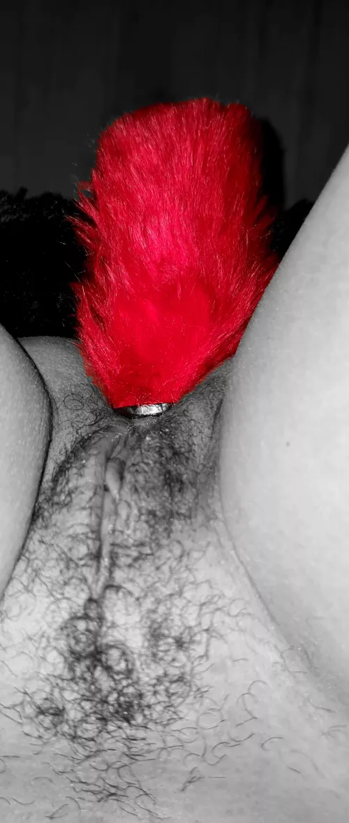 Today's tail (f) by bunchbb