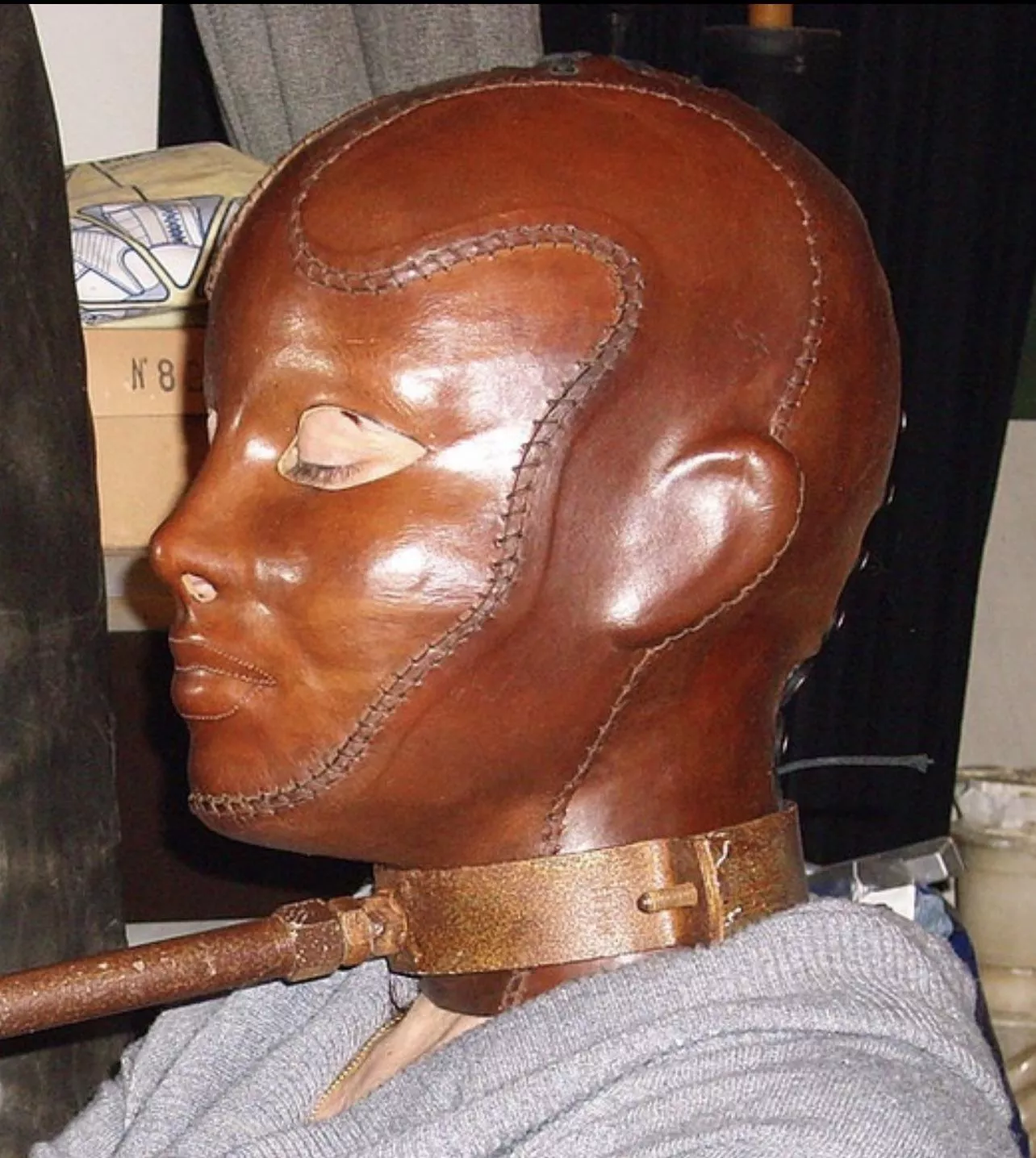 Where in the world can I find this amazing hood! posted by Geologist_Relative