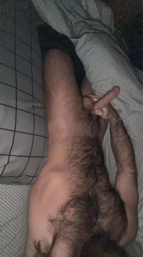 Wood morning😈 (30) by Eweb7721