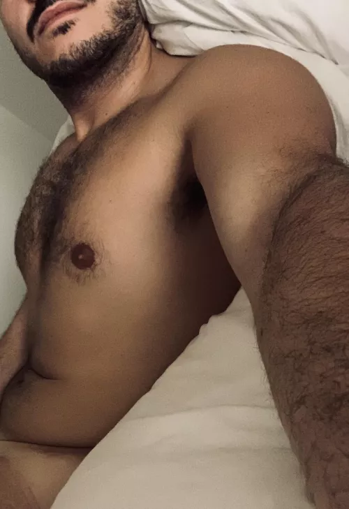 33yo sexy hairy italian stud. send face with age & location to get added! d_thestud1989 by Kooky-Reflection-500