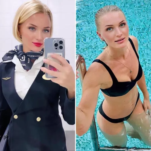 Best job in the world by arrayoutofbounds