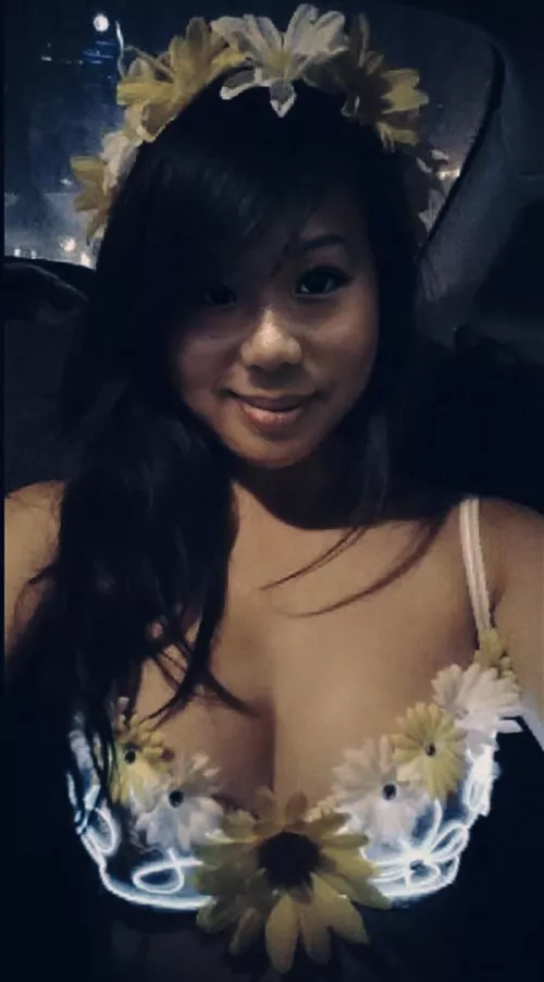 Beyond Wonderland by sdotaypt2