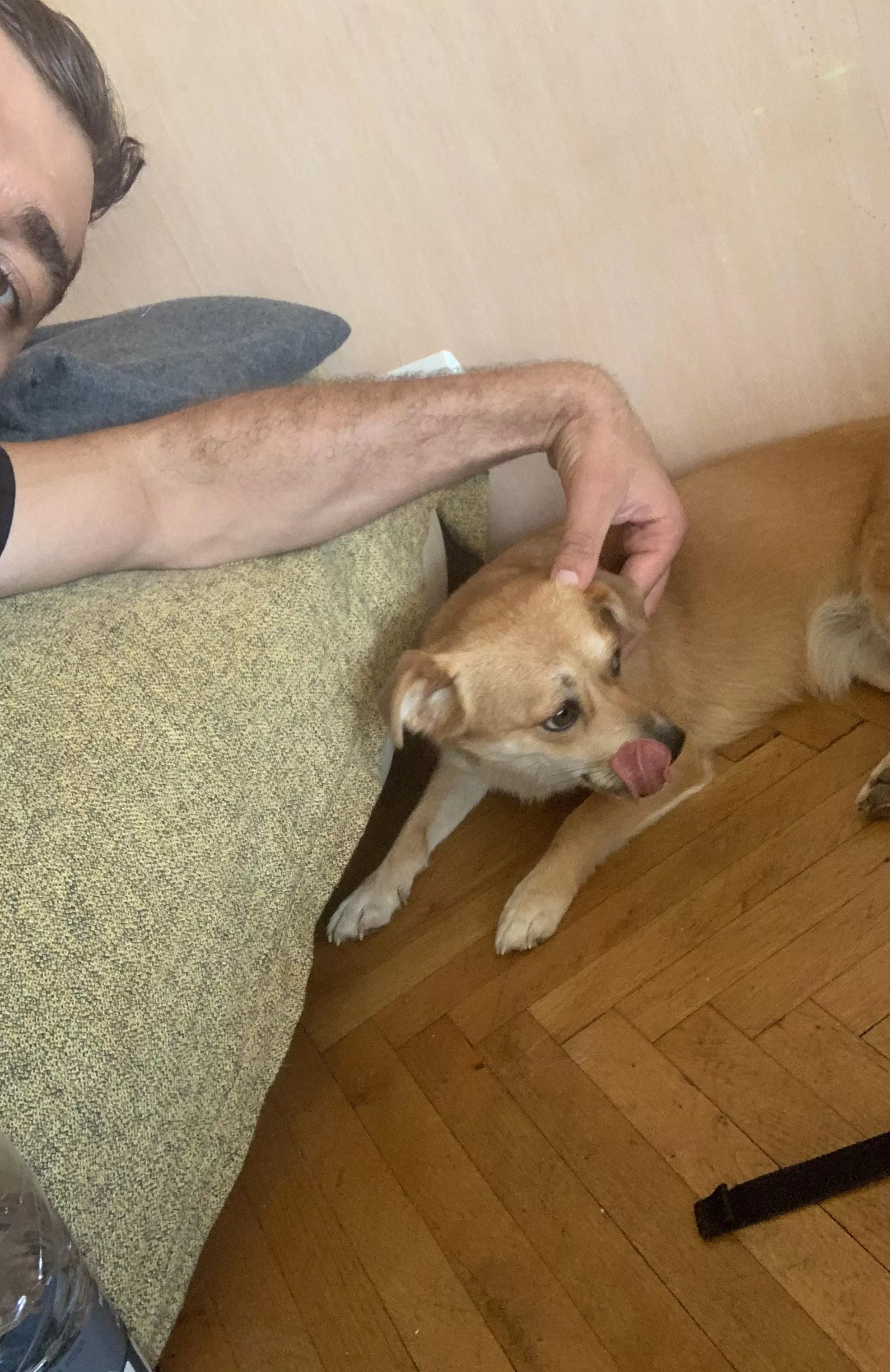 First time poster posted by savagecabbage182