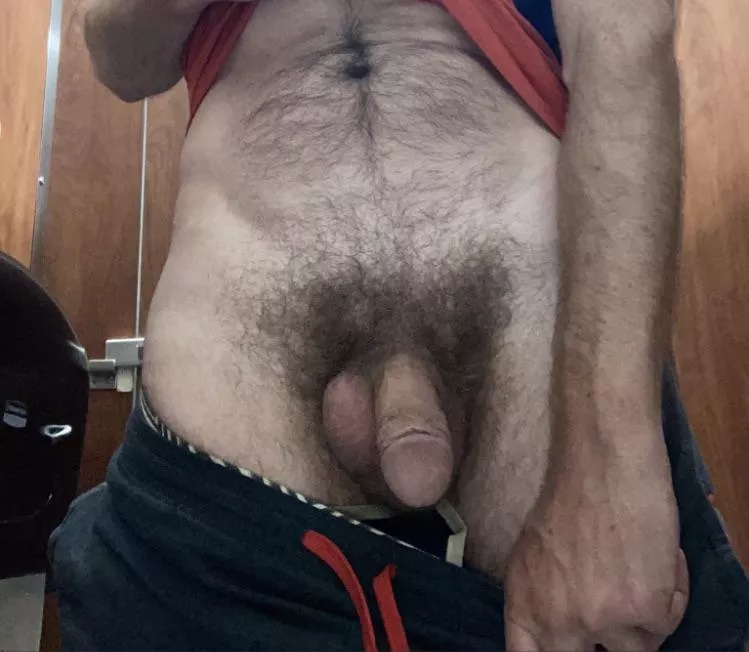 Gym bush posted by brobend
