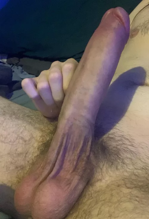 Here’s my contribution for all 2 of you to see by Scorshaint