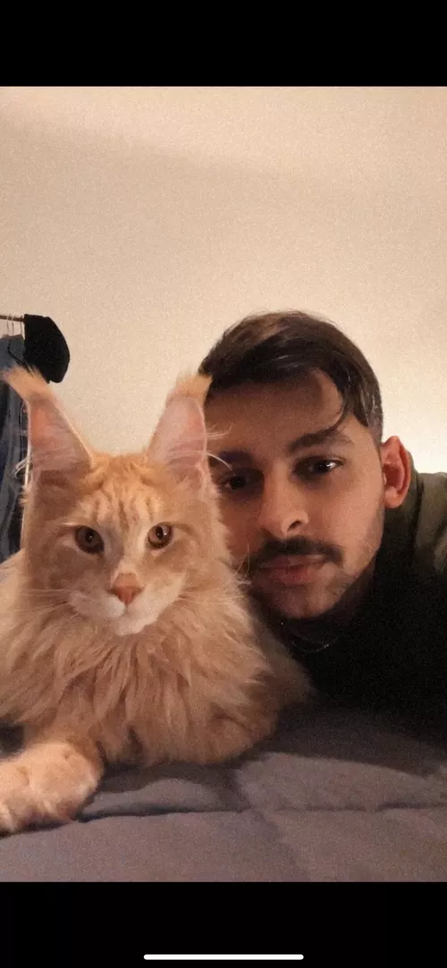 Hey guys! How are y’all doing? It has been a hot second, let’s catch up! ☺️ by _FLSnl_