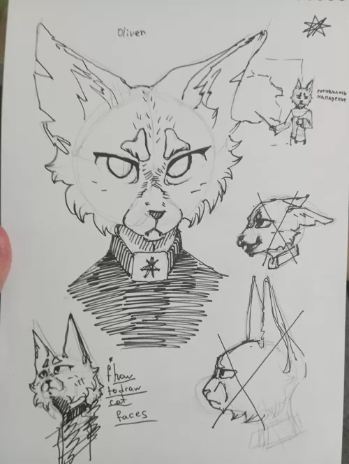 i guess... Meow? Does anyone else have a problem with drawing cats NOT frontal? by LisenokNo1