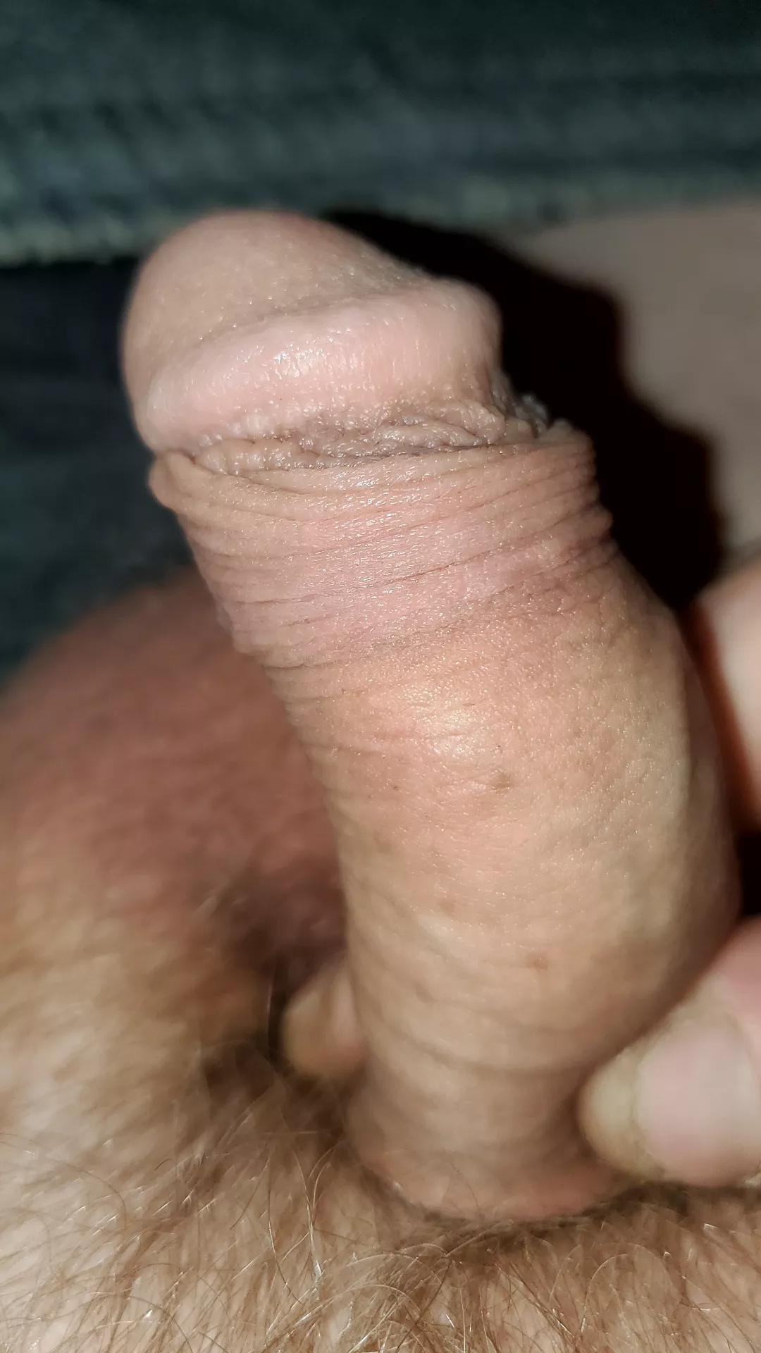 I need to get this hard and then sucked off posted by prob45