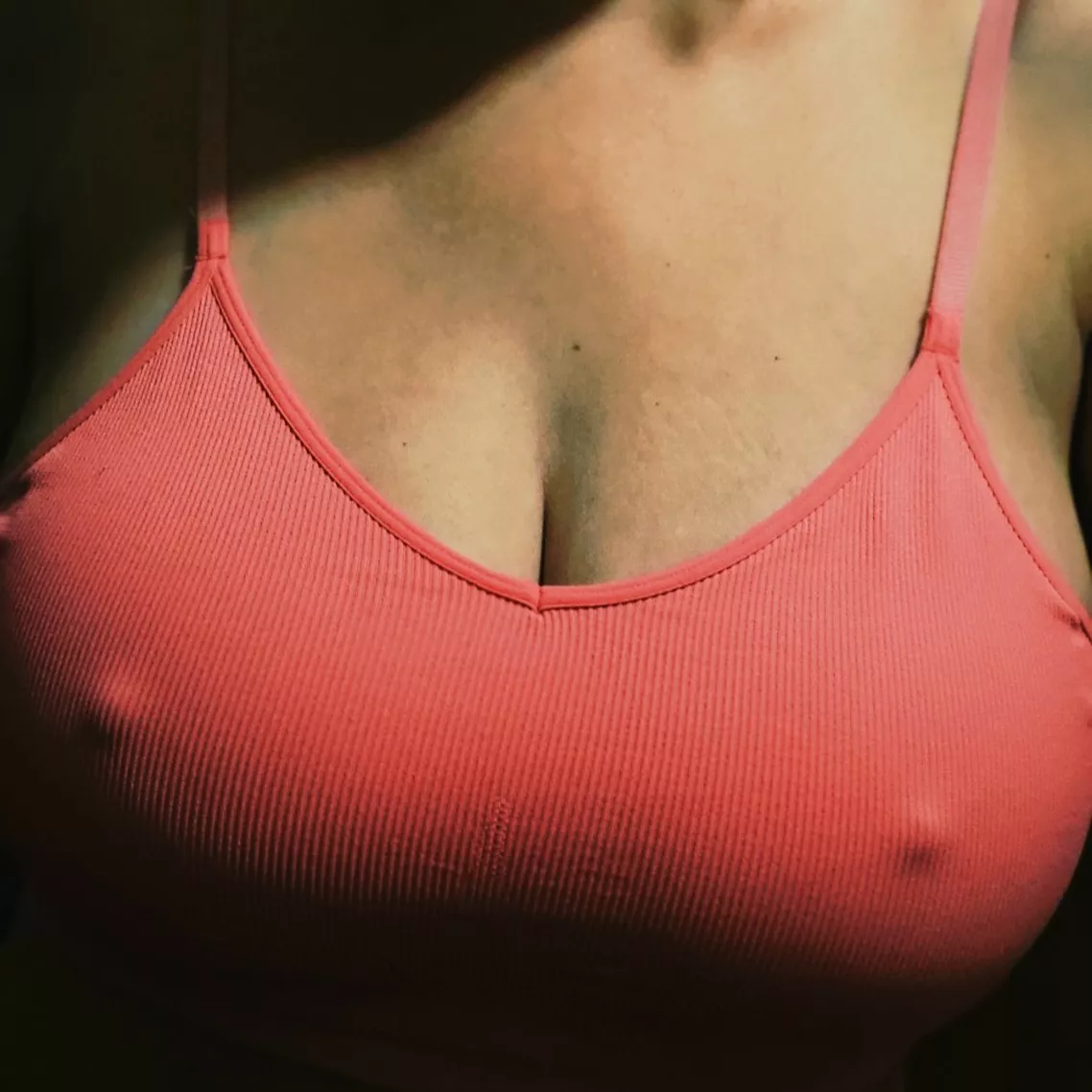 In the spotlight. posted by aredflower