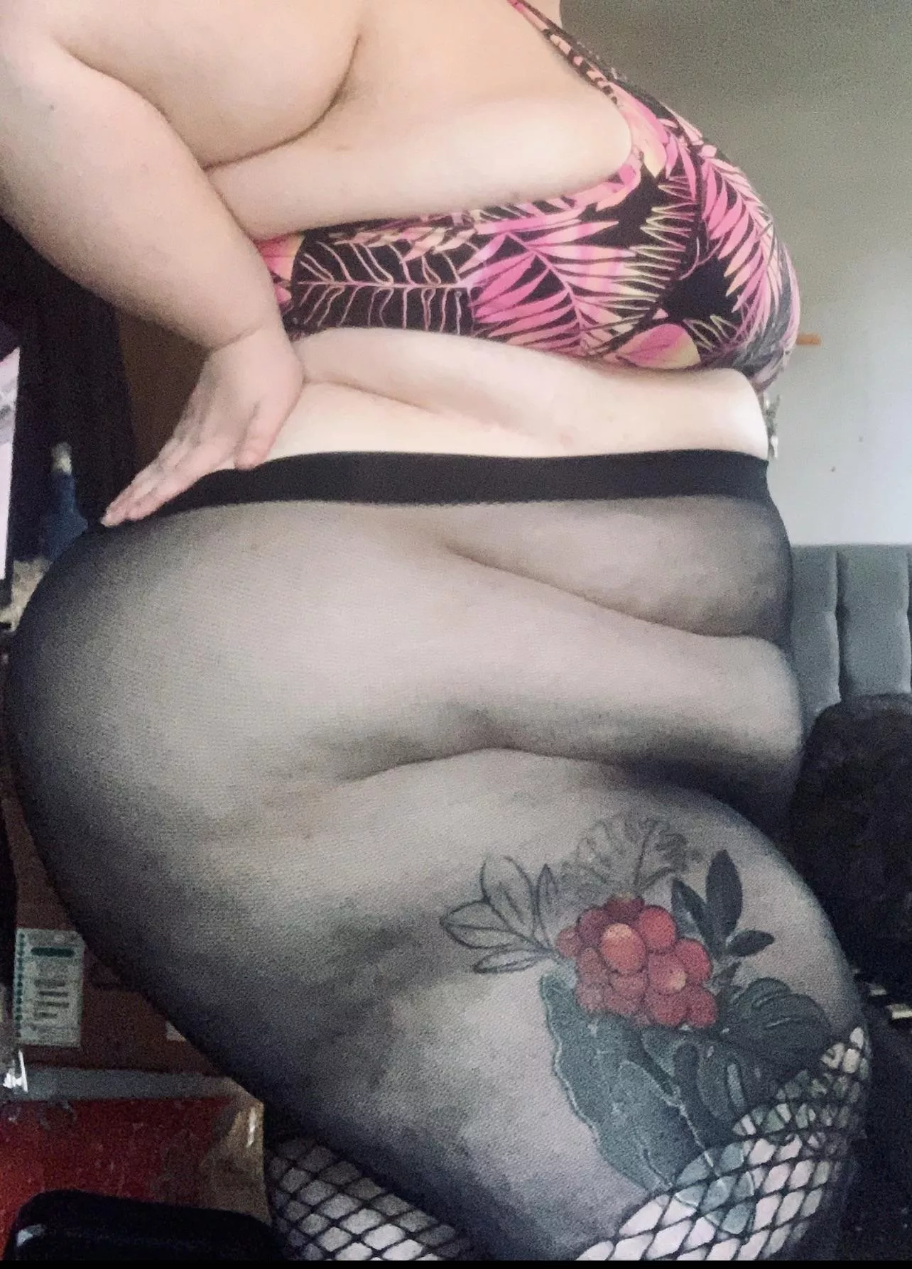 Knock knock posted by plantyho