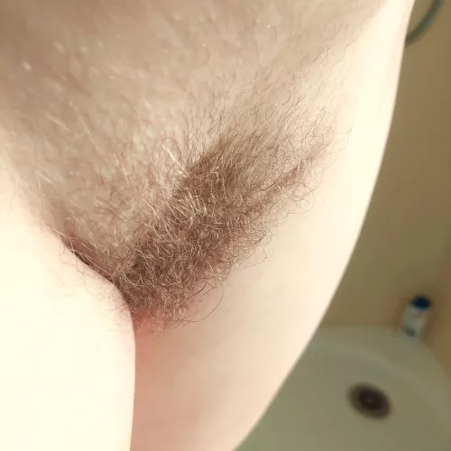 My Bush from side on always looks Amazing by naturalbushblondieNz