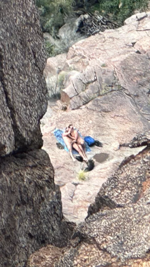 Saw these guys while hiking by blind_cyclops