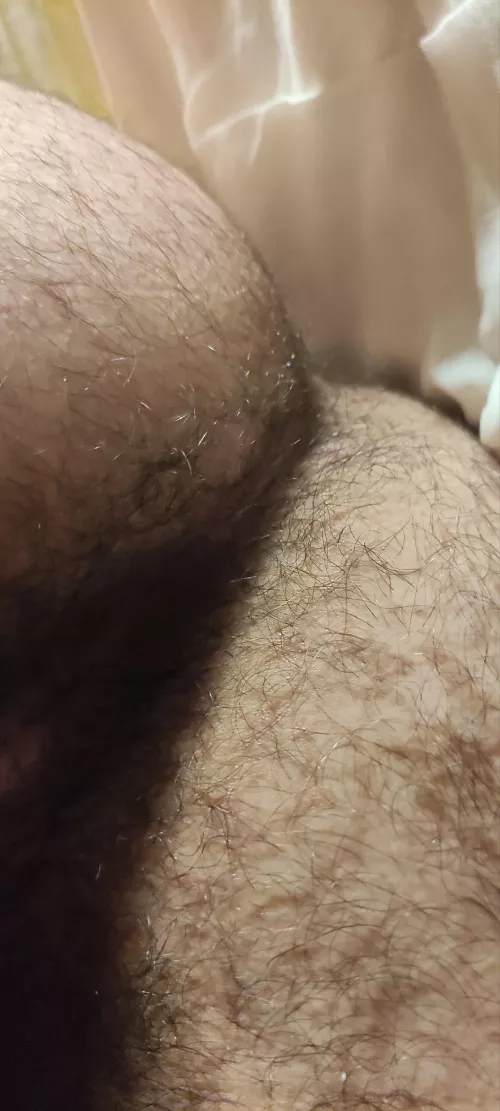 Sniff it by Born_Midnight4981