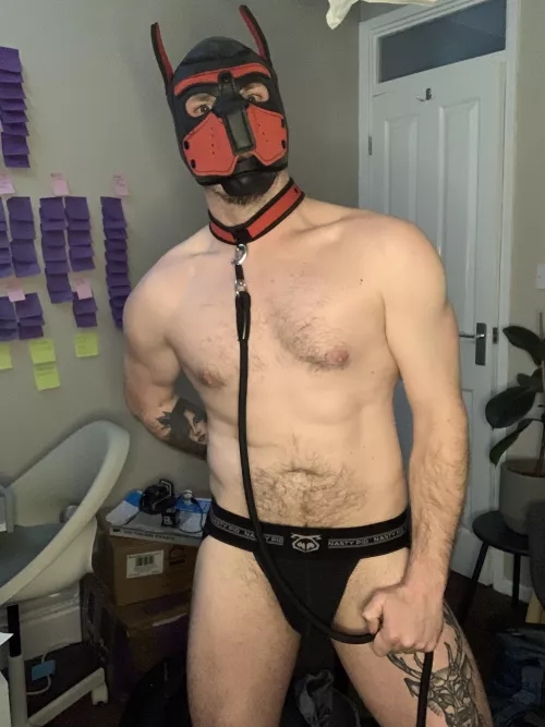 study break by teddyplaysxxx