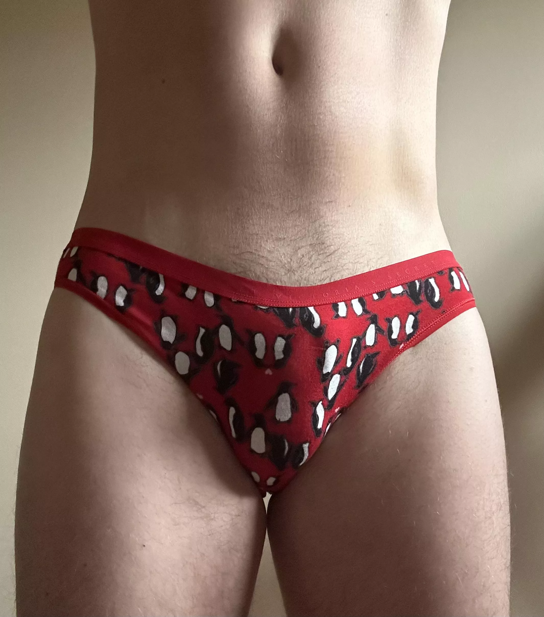 They’re little penguins! posted by USAmericaMan