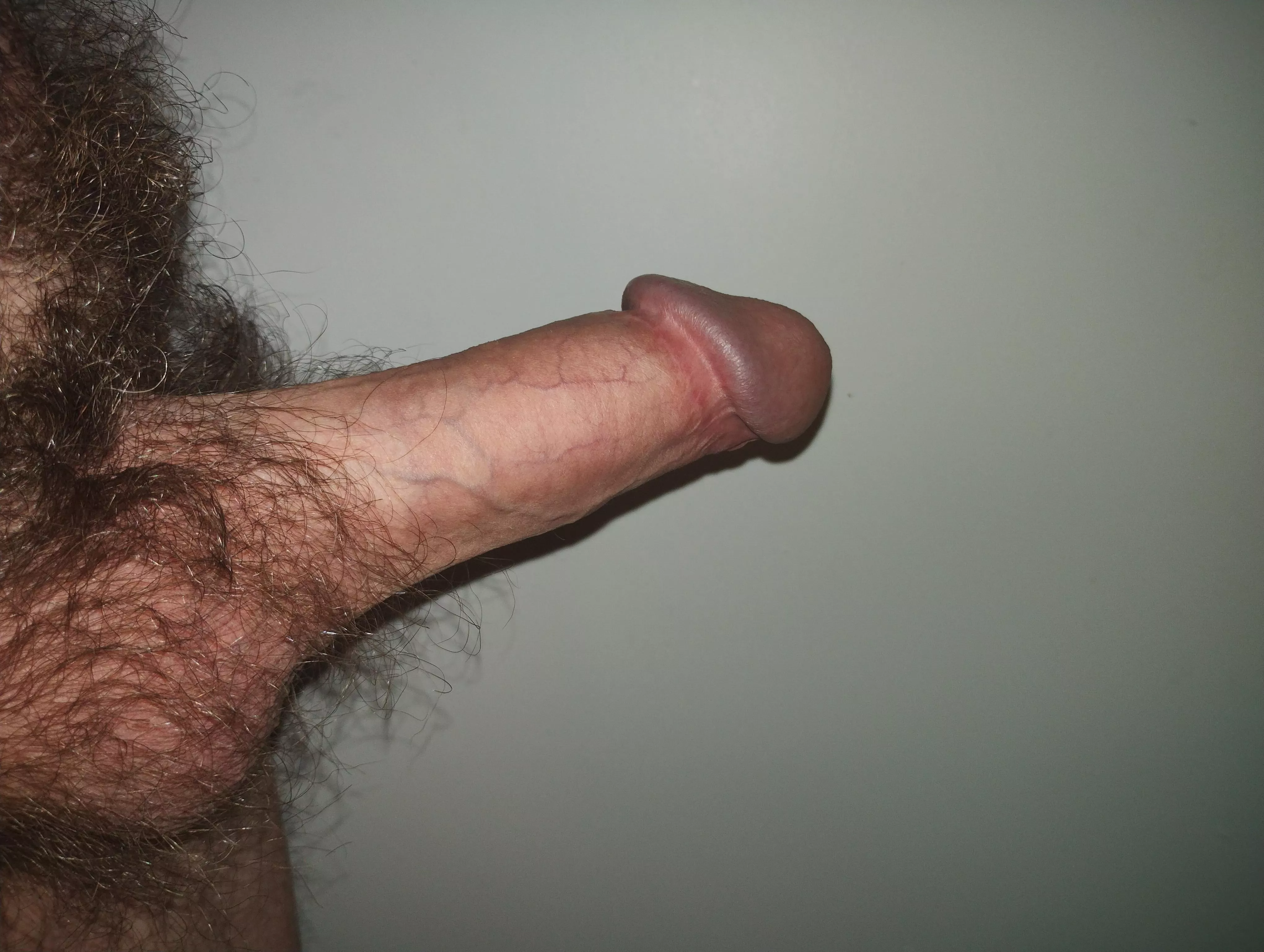 What do you think? posted by bushey-stomp72