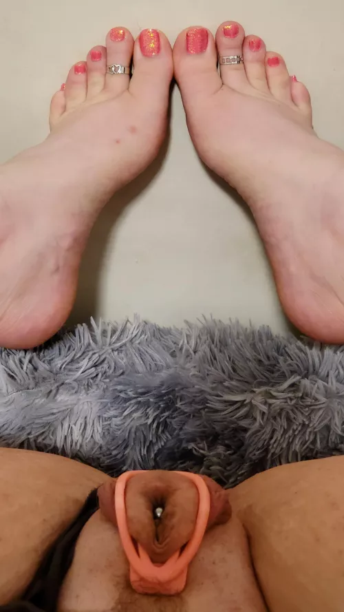 Worship my toes while you pound my hole 💋❤️ by sluttycharli