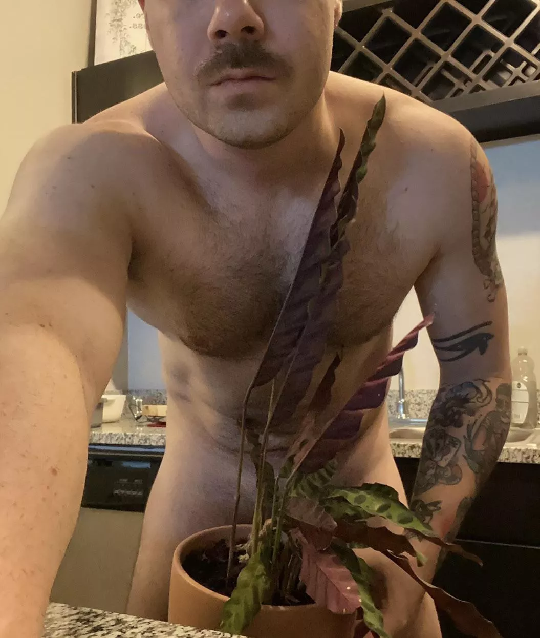 You should be at church today, but here you are… looking at a plant and a mustache. posted by Kurt_Wood