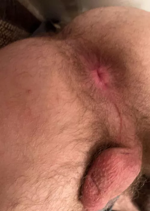 22m been awhile, who wants first dibs :P by OGBigbyWolf