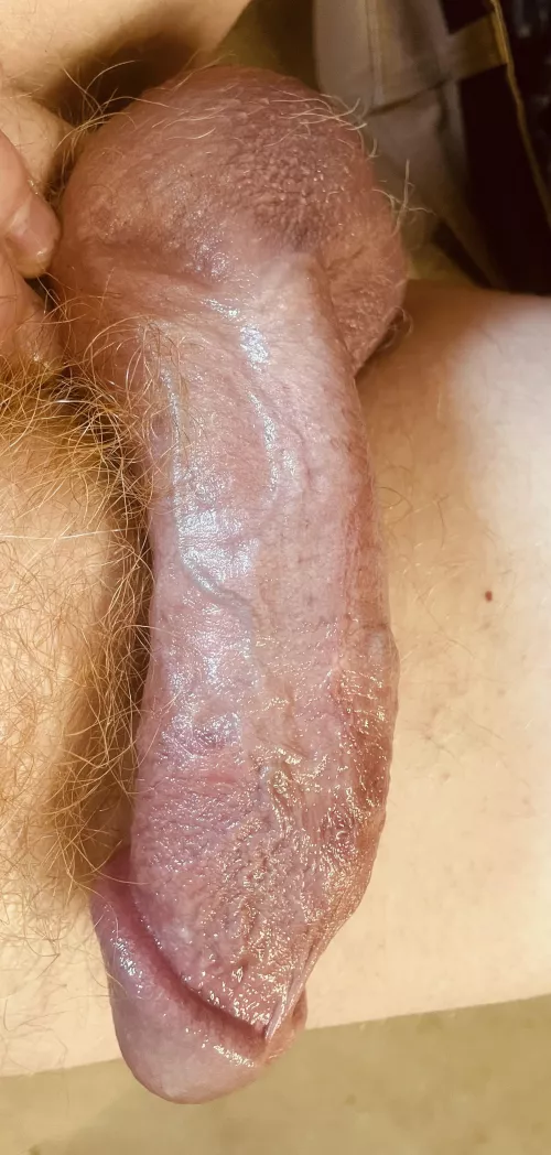 Afternoon break… by Relevant_Junket6404