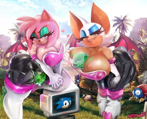 Amy & Rouge (Tudduls) by ObserveAndHerve