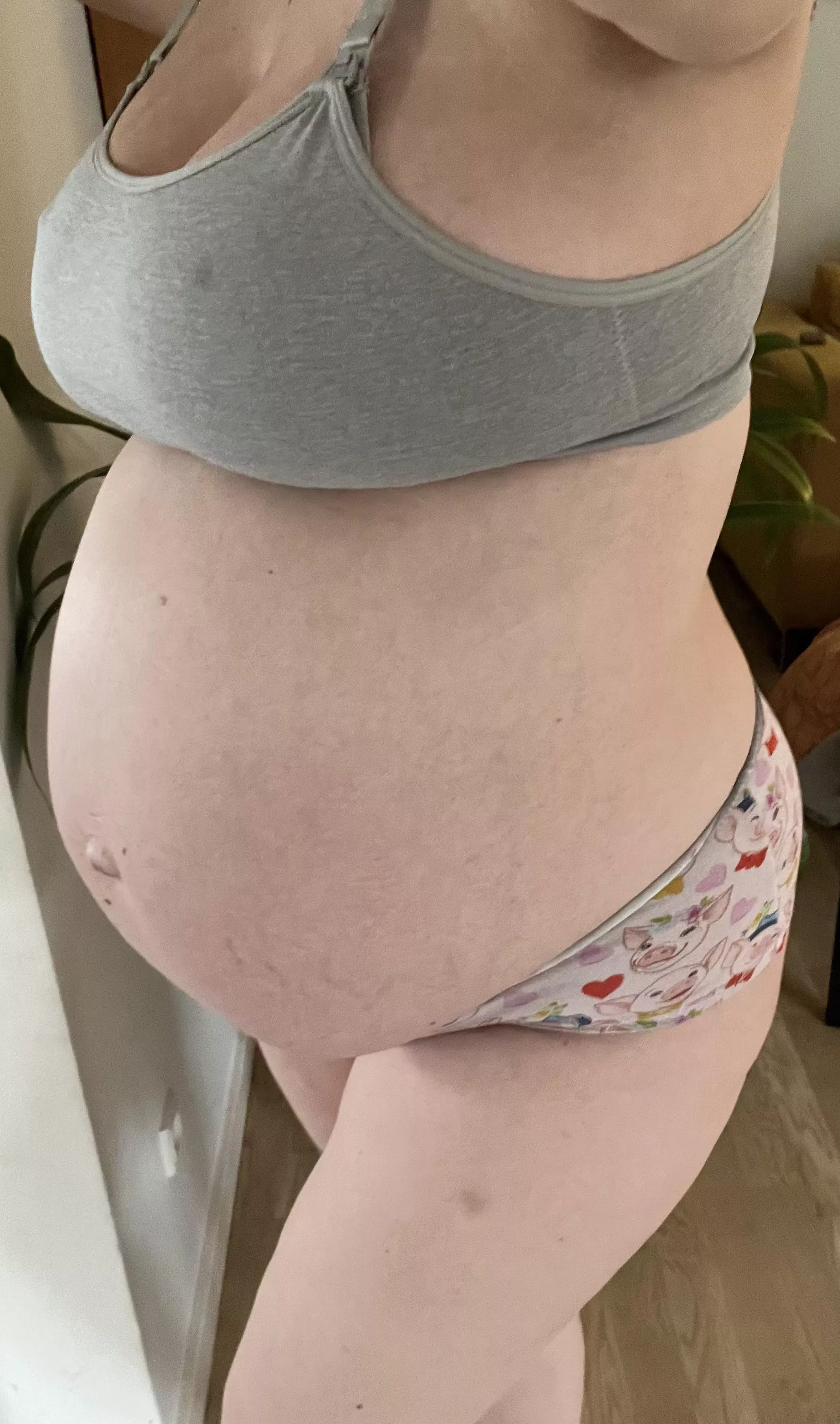 Breeding cow or pig 🐷 posted by PrincessBubblecum_dk