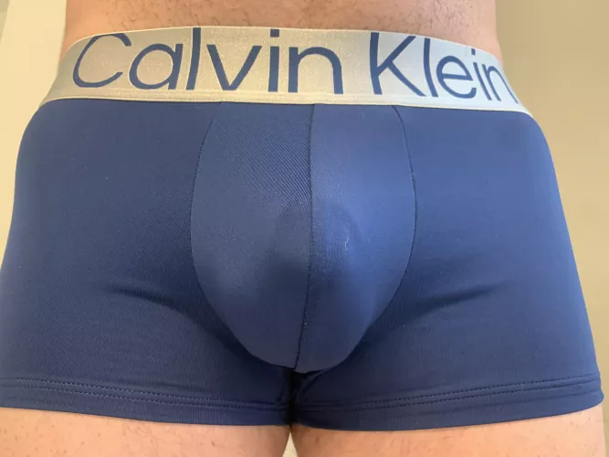 Calvin Trunks are always a solid choice ! by morcum