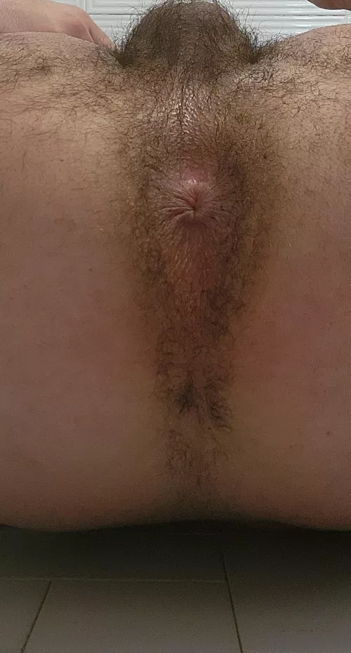 Drill me by thdavid455