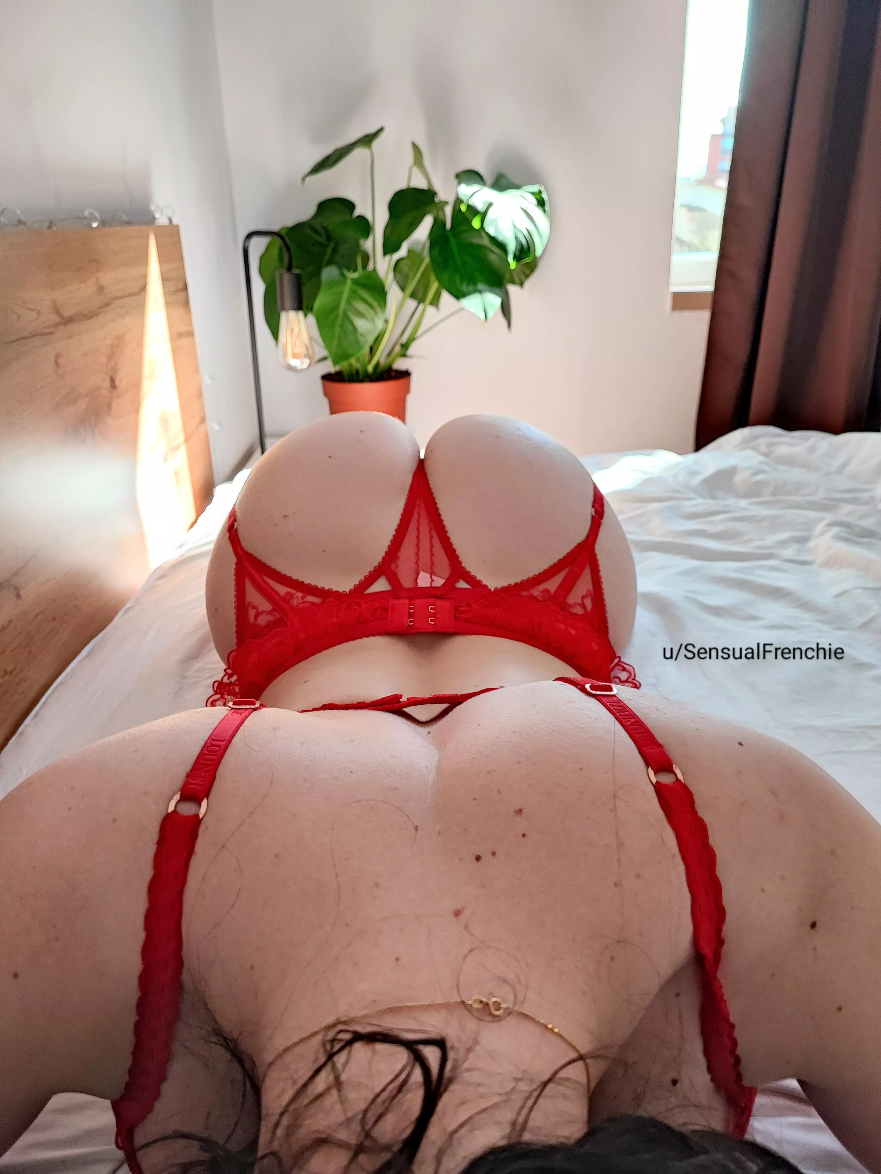 [F] Has anyone seen my heart-shaped treasure? Oh no, it's just my booty ! 🍑🫶 posted by SensualFrenchie