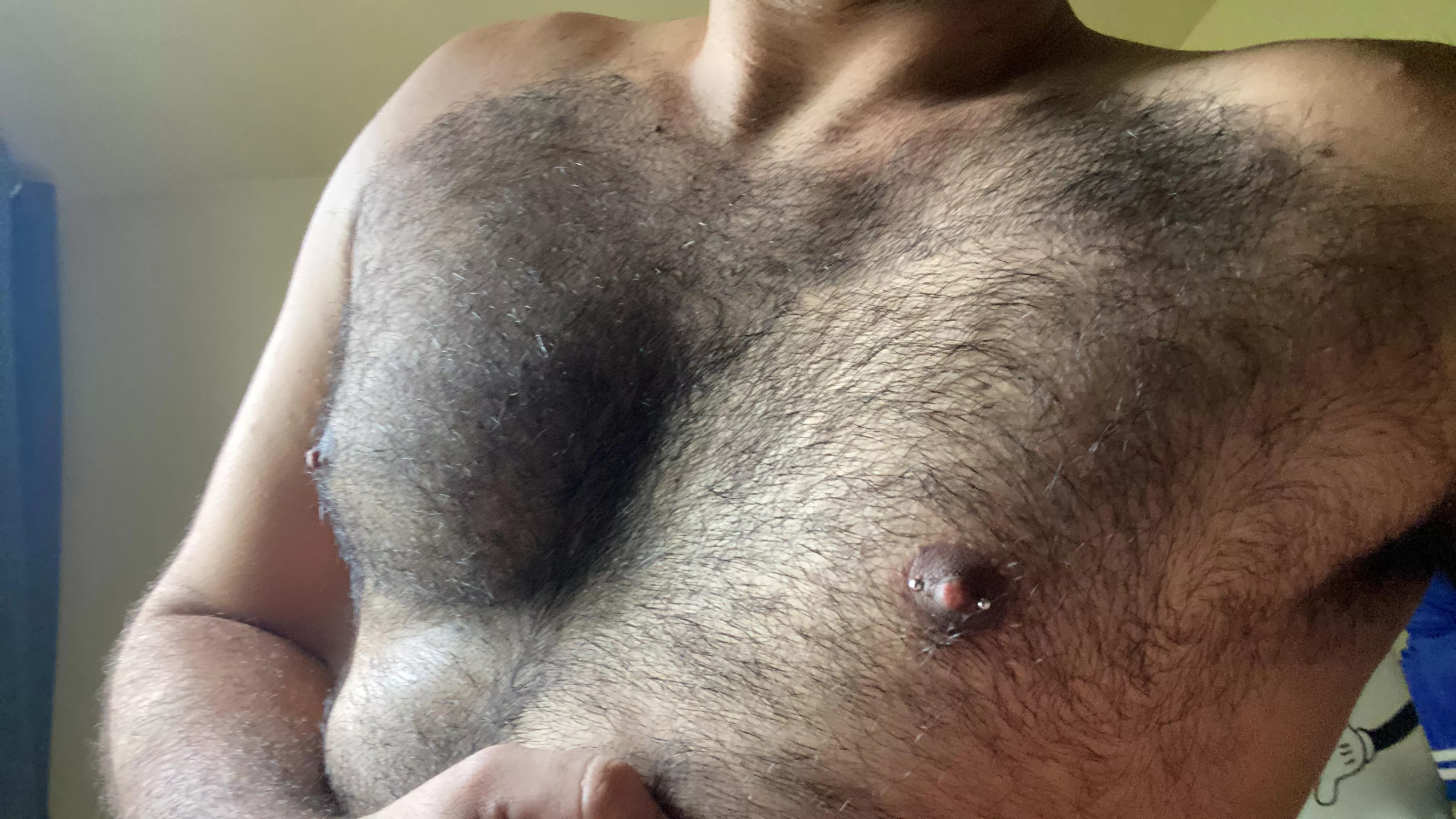 Hey all.. Do u like hairy men? posted by Furryhornny