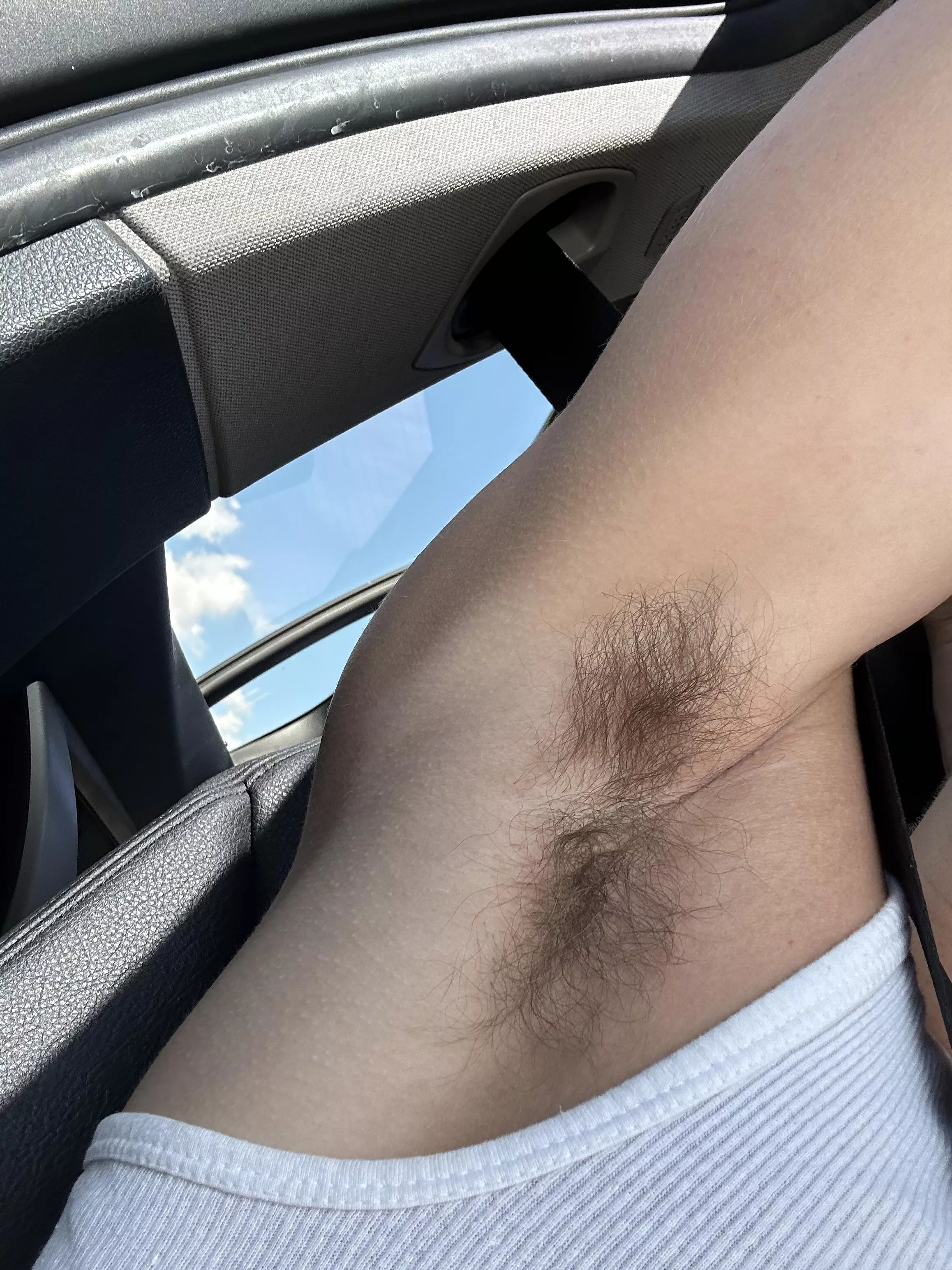 High def posted by idealimmunitdsfds