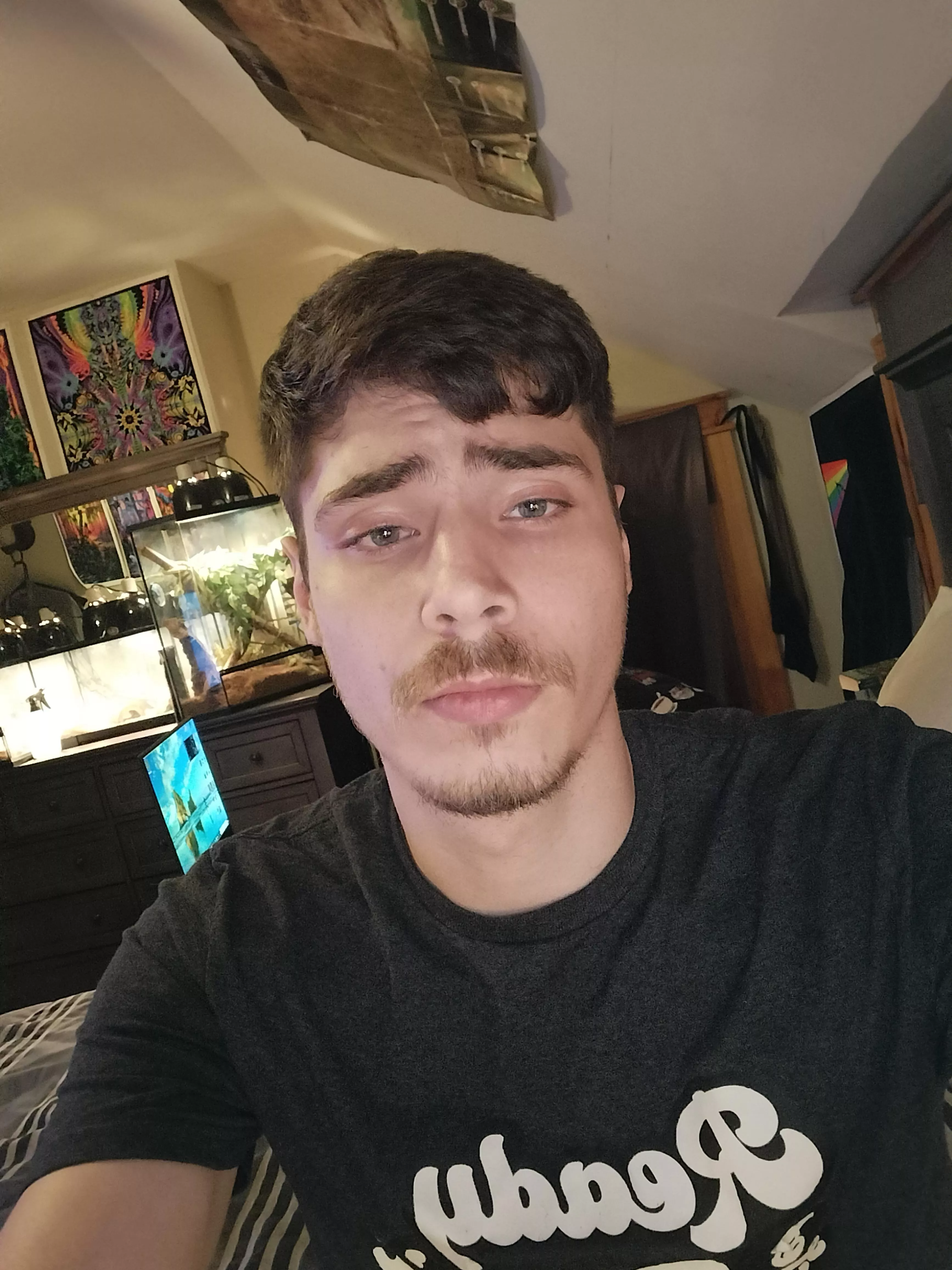 I decided to do something new with my hair. posted by -who_wants_to_know-