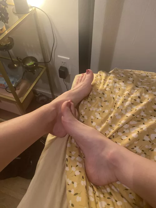 I need to get my feet worshipped by bbysal6