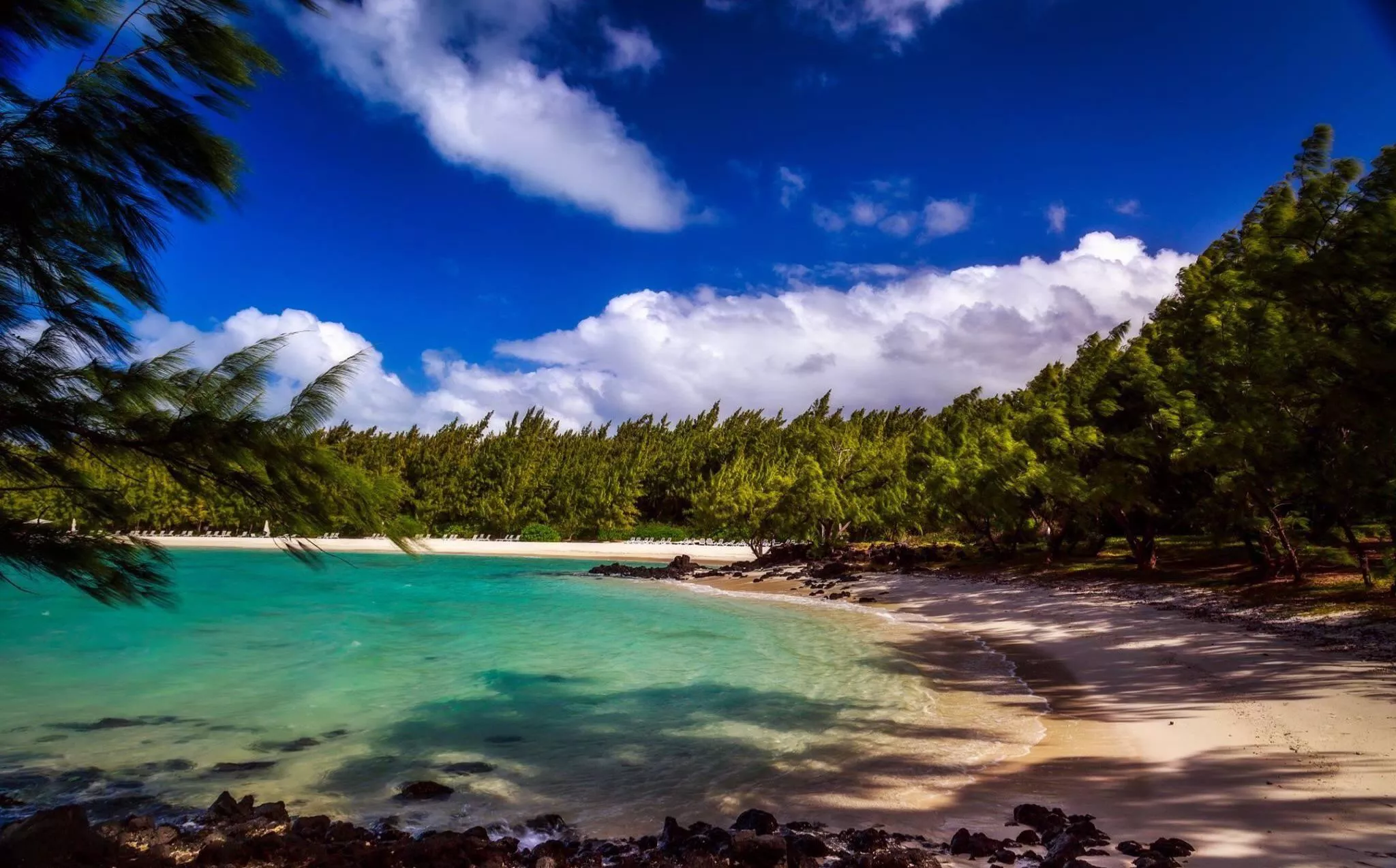 Ile aux cerf posted by rossey260