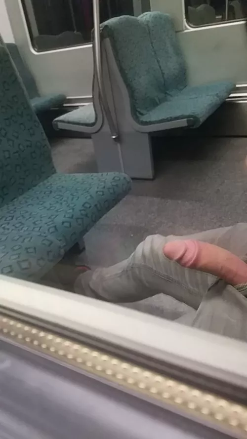 In an empty train 🙃 by theexplorer002