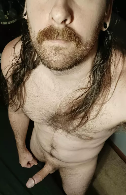 In need of some company by Godless_sky