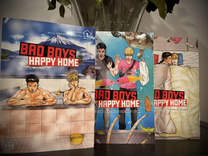 Just an absolutely gorgeous series. Beautiful story + beautiful artwork. I’m obsessed with the covers. by TotalllyNotAWendigo