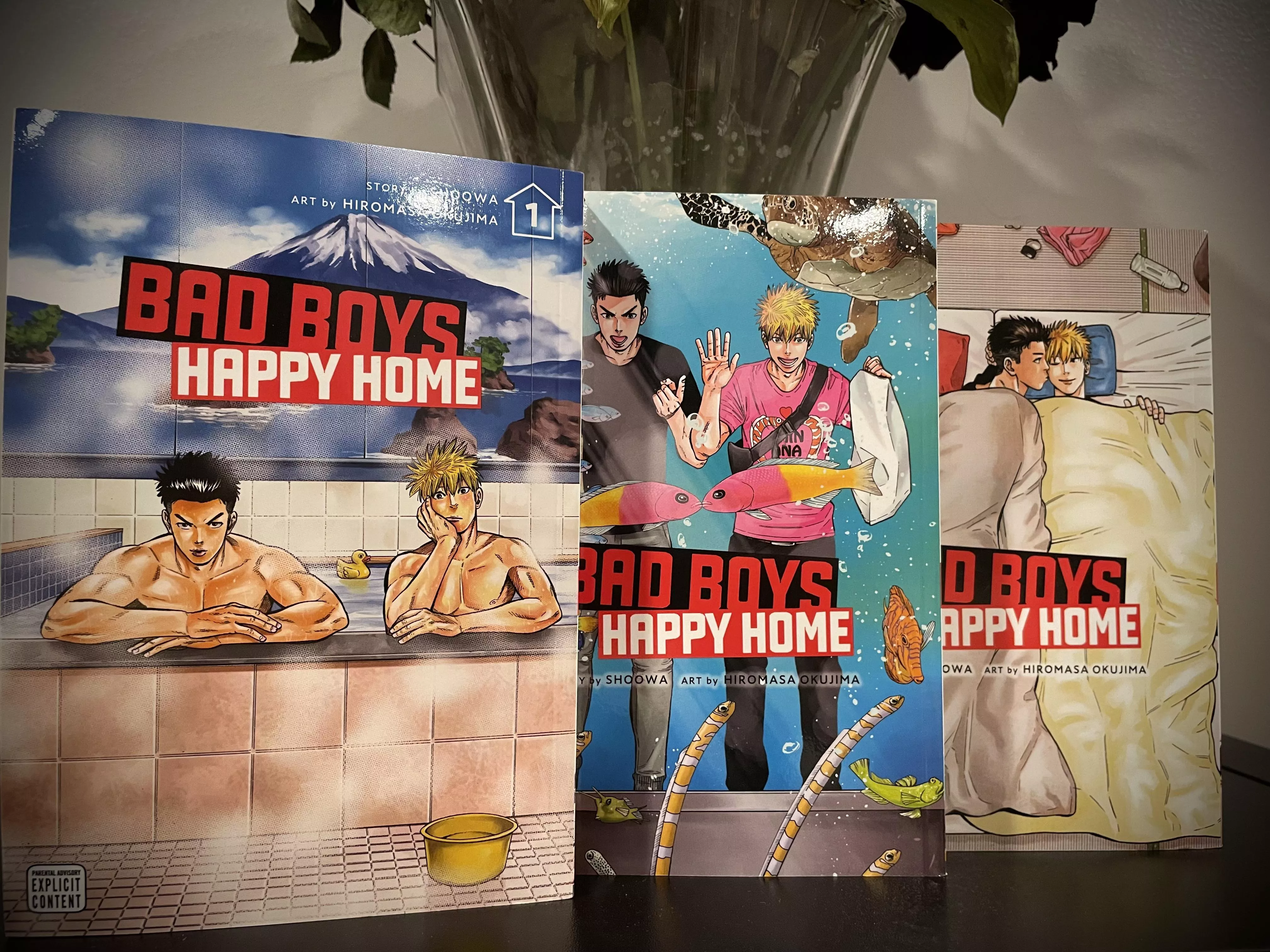 Just an absolutely gorgeous series. Beautiful story + beautiful artwork. I’m obsessed with the covers. posted by TotalllyNotAWendigo