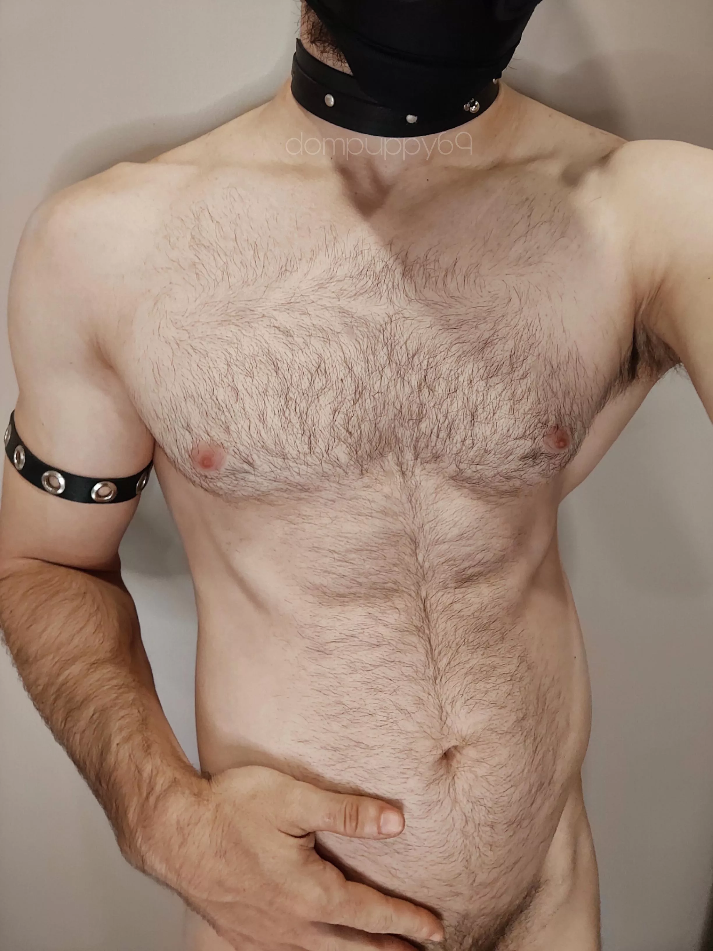 More hair would be better? posted by dompuppy69