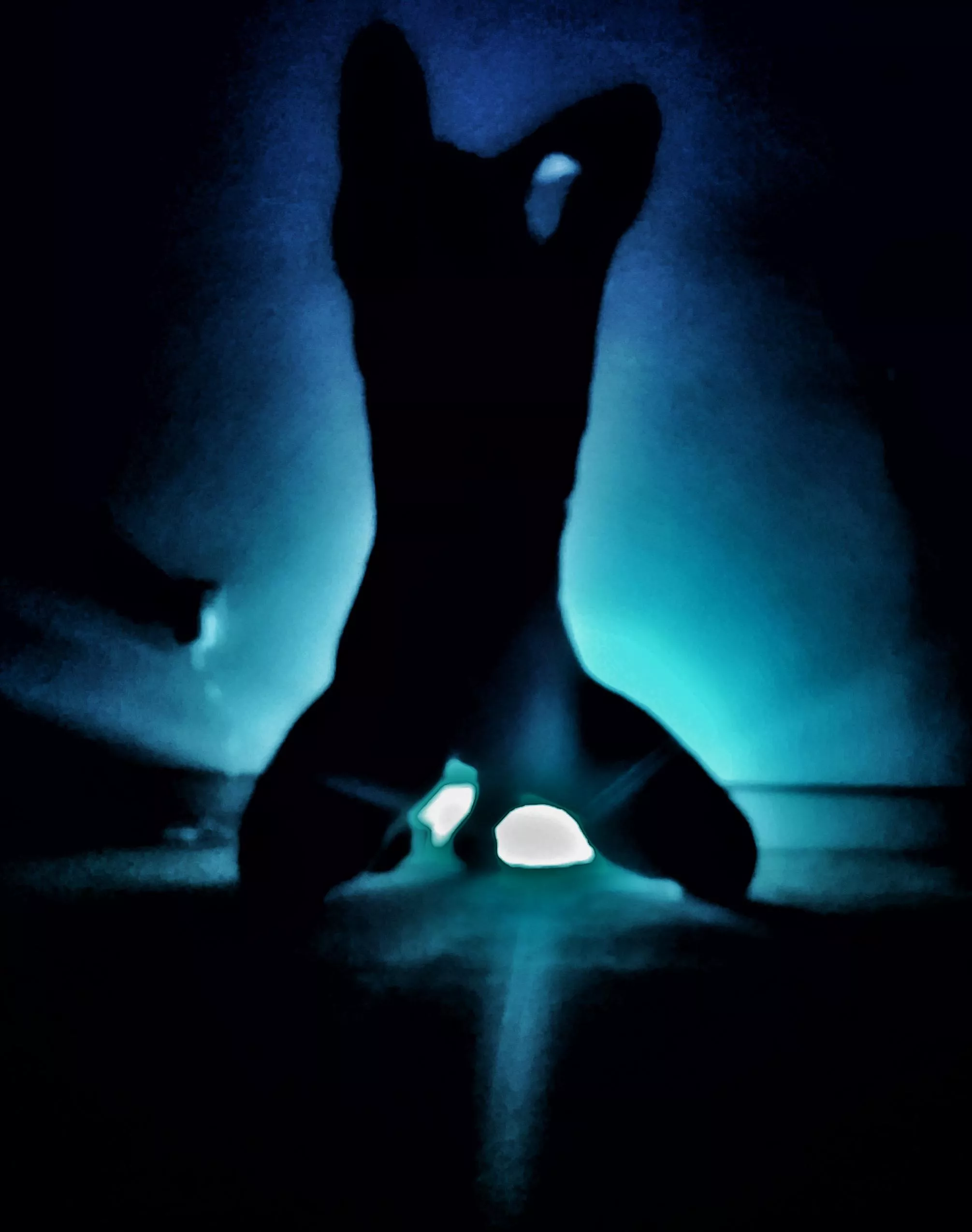 outlines posted by xxxotic666