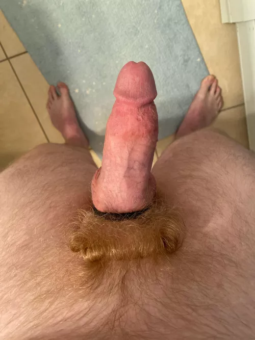 Perfectly groomed by Puzzleheaded_Ad_9423